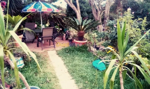 Jardin