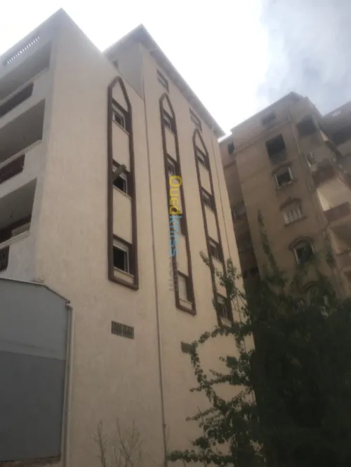 Griffée façades 