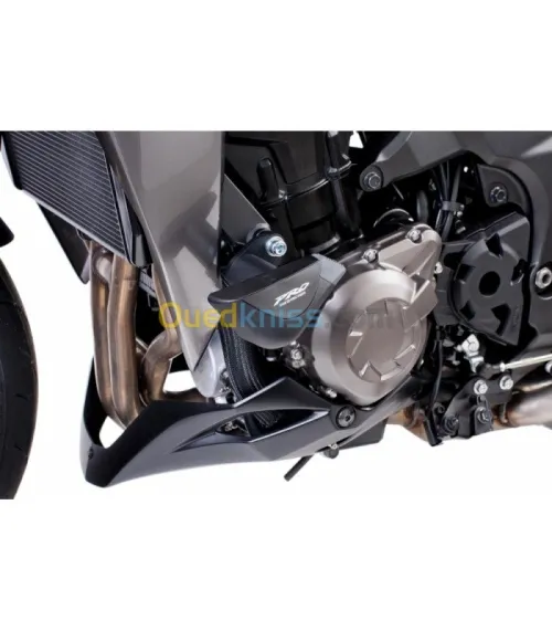 PUIG Protection MOTEUR Z1000