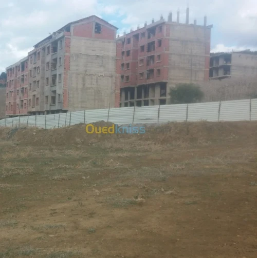 Vente Terrain Tipaza Cherchell