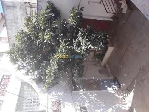 Vente Villa Alger Oued koriche