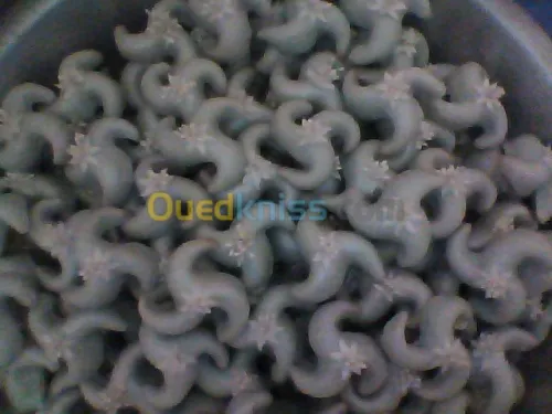 Gâteaux modernes et traditionnels