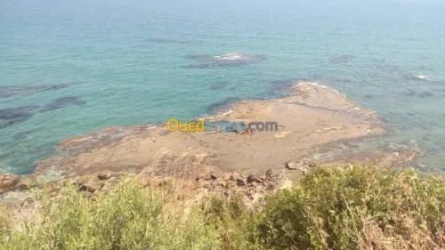 Location bien immobilier Tizi ouzou Azeffoun