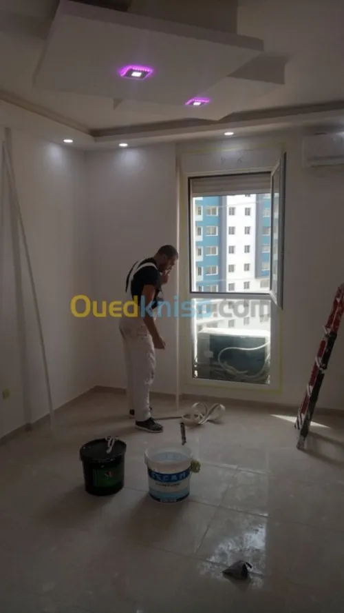 TRAVAUX  DE PAINTURE ET AMENAGEMENT 