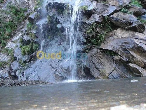 ASSOCIATION  LES AMIS DE CHREA