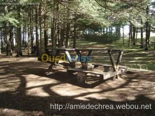 ASSOCIATION  LES AMIS DE CHREA