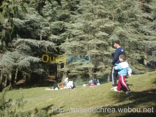 ASSOCIATION  LES AMIS DE CHREA