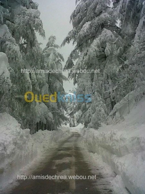 ASSOCIATION  LES AMIS DE CHREA