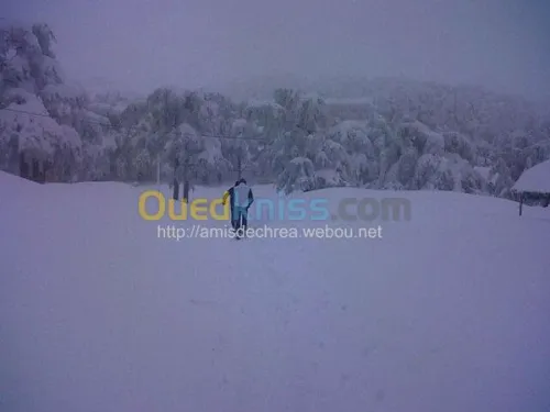 ASSOCIATION  LES AMIS DE CHREA