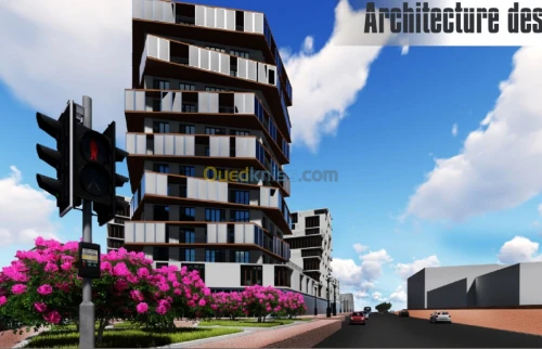 Web designer ,Ui Ux,3D 