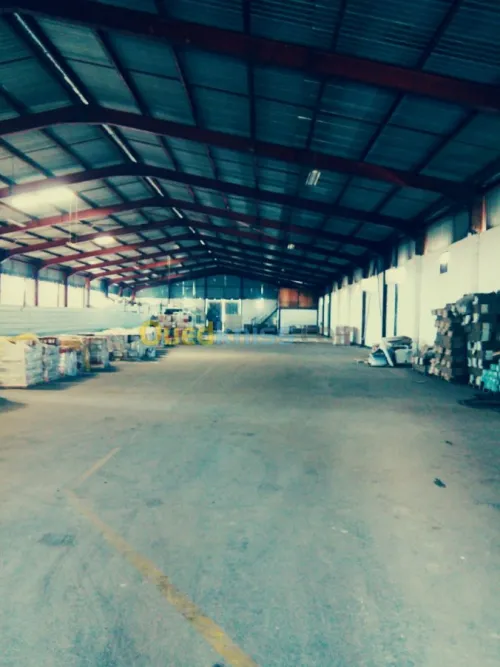 Vente Hangar El taref Ben mehdi