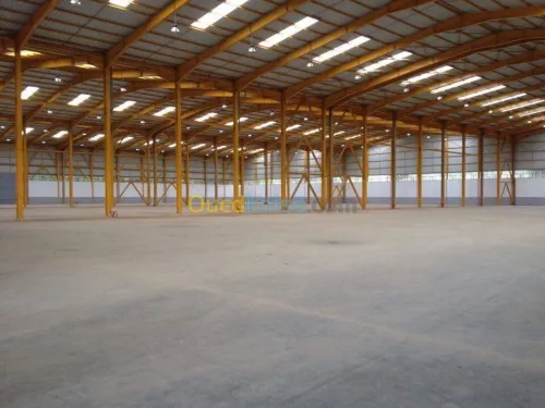 Location Hangar Alger Birtouta