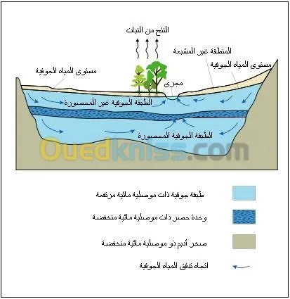 وزن الأراضي بطرق علمية 