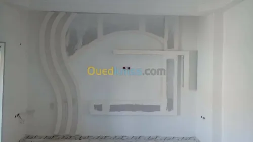 بلاكوبلاتر و الدهانات الحديثة