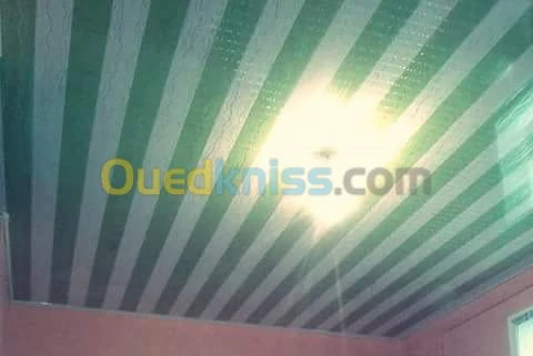 بلاكوبلاتر و الدهانات الحديثة