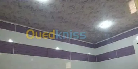 بلاكوبلاتر و الدهانات الحديثة