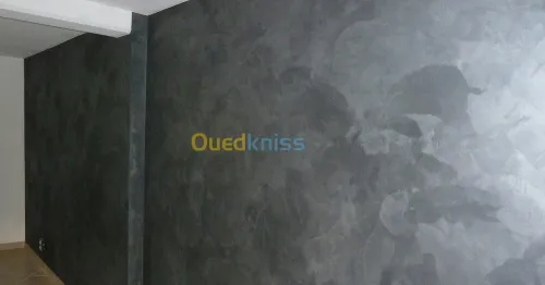 بلاكوبلاتر و الدهانات الحديثة