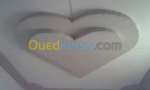 بلاكوبلاتر و الدهانات الحديثة