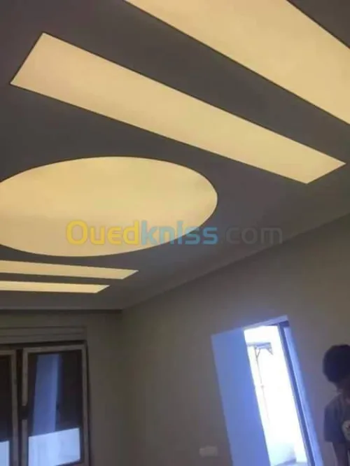 بلاكوبلاتر و الدهانات الحديثة