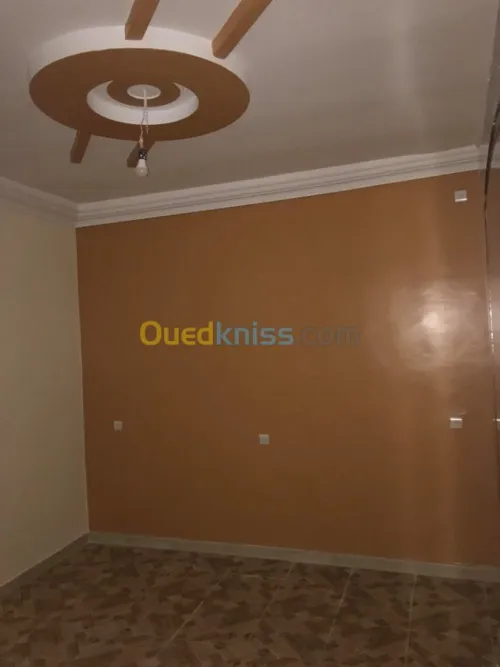 بلاكوبلاتر و الدهانات الحديثة
