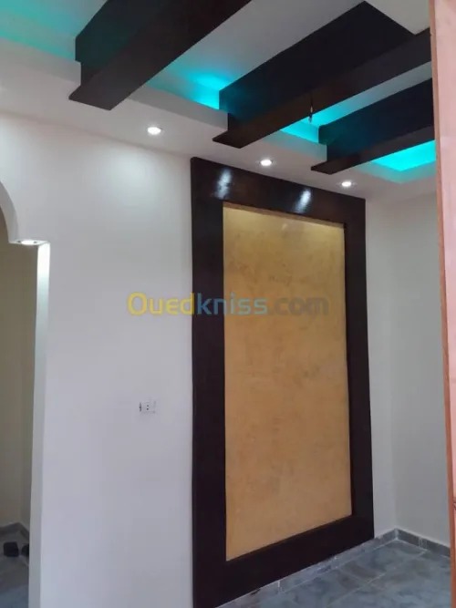 بلاكوبلاتر و الدهانات الحديثة