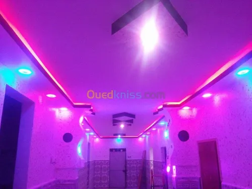 بلاكوبلاتر و الدهانات الحديثة