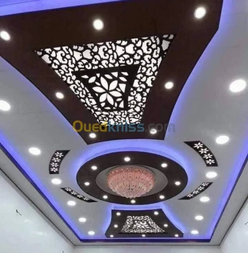 بلاكوبلاتر و الدهانات الحديثة