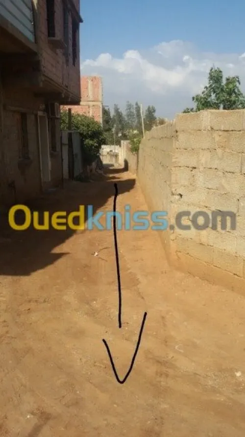 Vente Terrain Relizane Oued rhiou