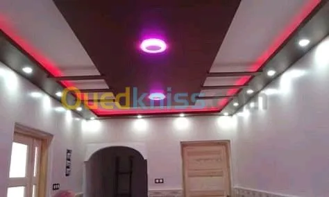 Placoplâtre PVC ba13