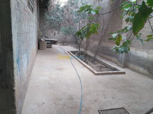 Vente Local Biskra Biskra