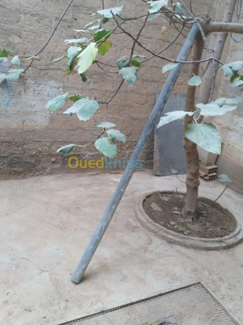 Vente Local Biskra Biskra