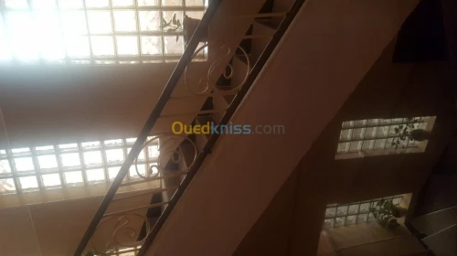 Vente Niveau De Villa F7 Naama Mecheria