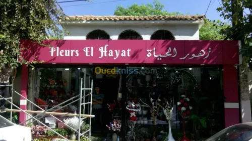 installation d'Aluco-bonde