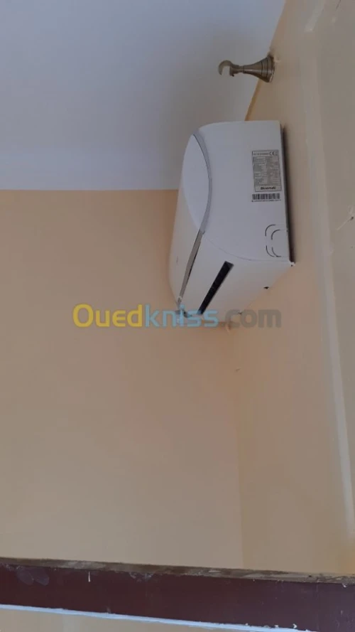 Peintre professionnel