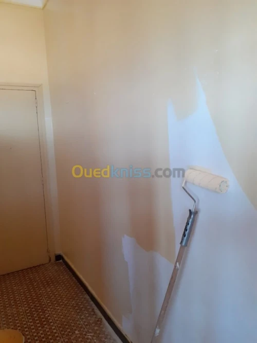 Peintre professionnel