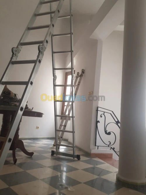 Peintre professionnel