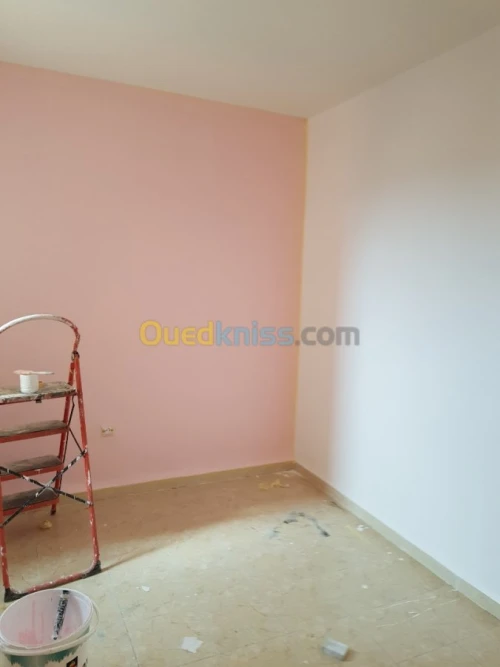 Peintre professionnel