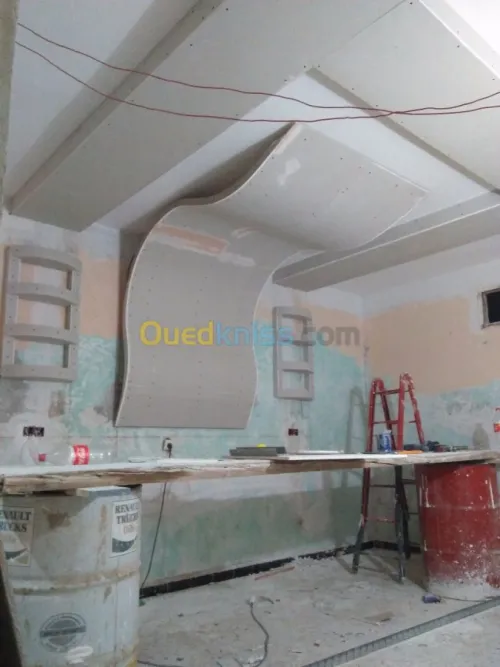Construction et décoration placoplatre