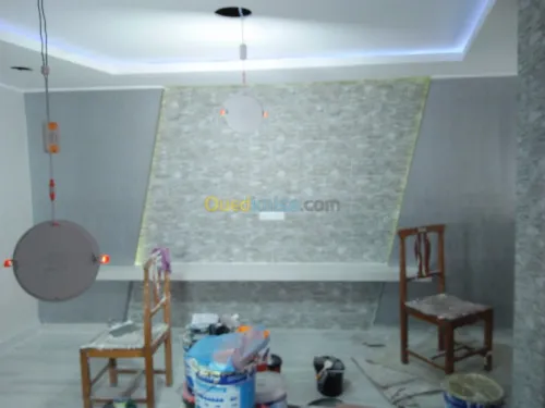 Construction et décoration placoplatre