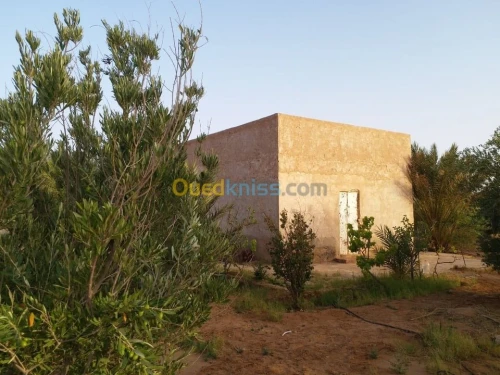 Vente Terrain Agricole Ghardaia Ghardaia