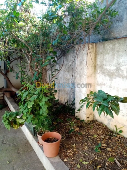 Vente Villa Alger El madania