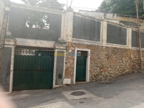 Vente Villa Alger El madania