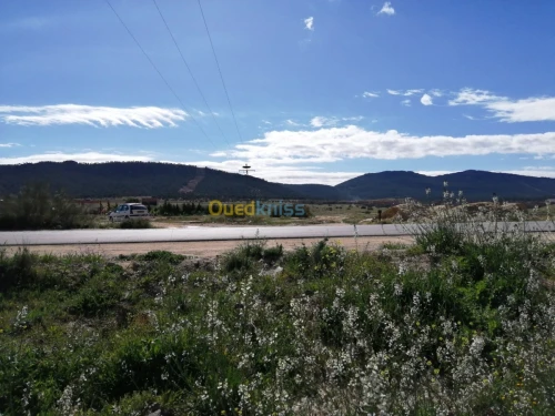 Vente Terrain Tebessa Tebessa