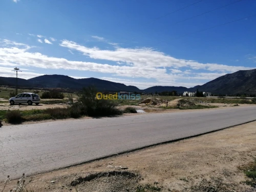 Vente Terrain Tebessa Tebessa