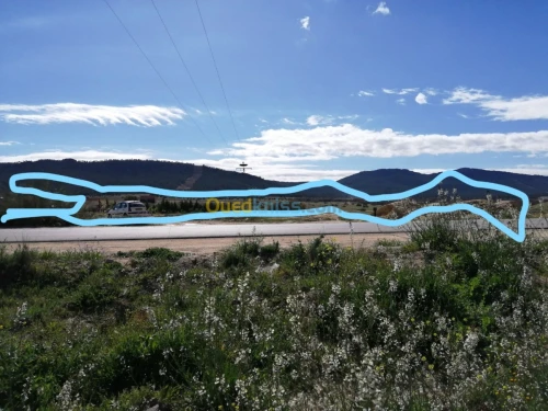 Vente Terrain Tebessa Tebessa
