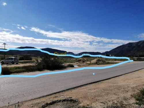 Vente Terrain Tebessa Tebessa
