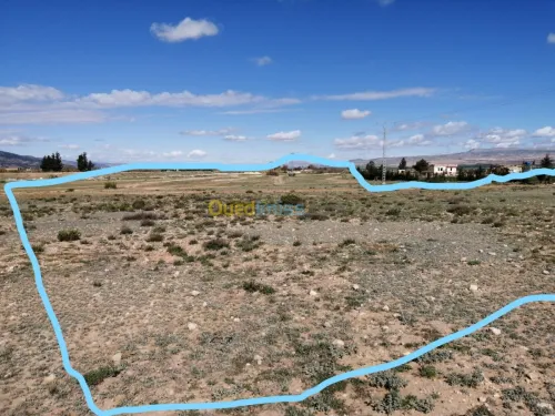 Vente Terrain Tebessa Tebessa