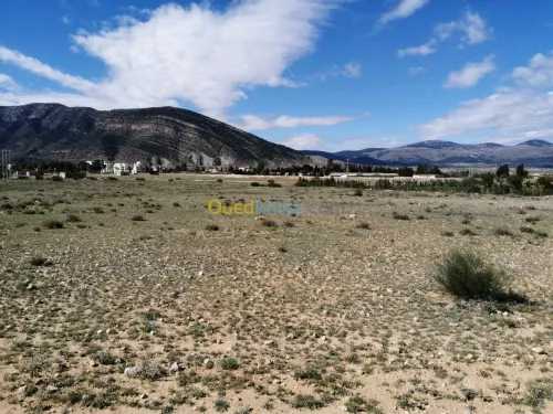 Vente Terrain Tebessa Tebessa