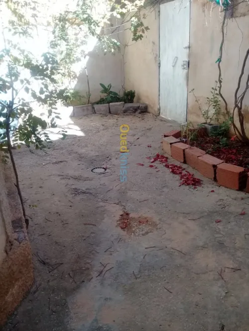 Vente Appartement Khenchela Khenchela