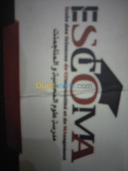 RESPONSABLE COMMERCIAlE Sans BAC